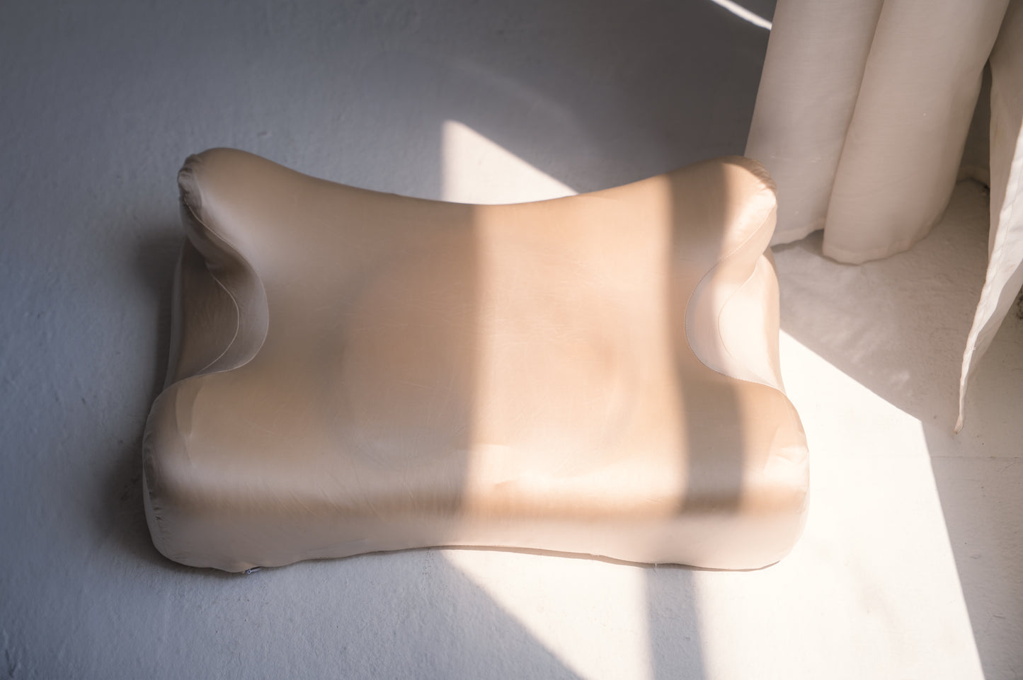 Ageless Pillow